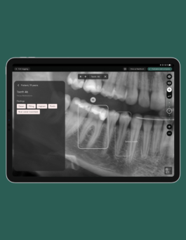  We design visual identity systems and digital products.